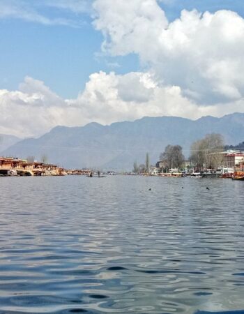 New Bul Bul Group of Houseboats Srinagar