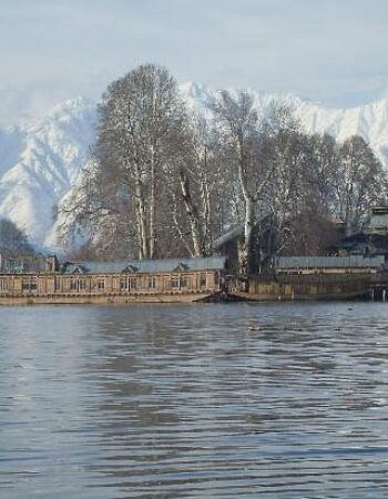 Peacock Houseboats